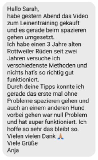 On the road again – Videokurs Autoangst beim Hund von Sarah Fink 12 Kundenstimme Rottweiler Rüde Leinenführigkeit Video
