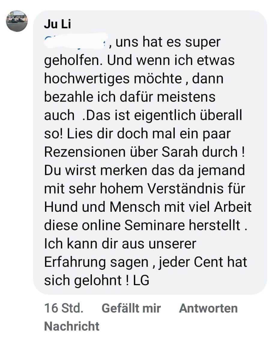 On the road again – Videokurs Autoangst beim Hund von Sarah Fink 11 Kundenbewertung Ju Li Seminare Hundetraining Preis-Leistung