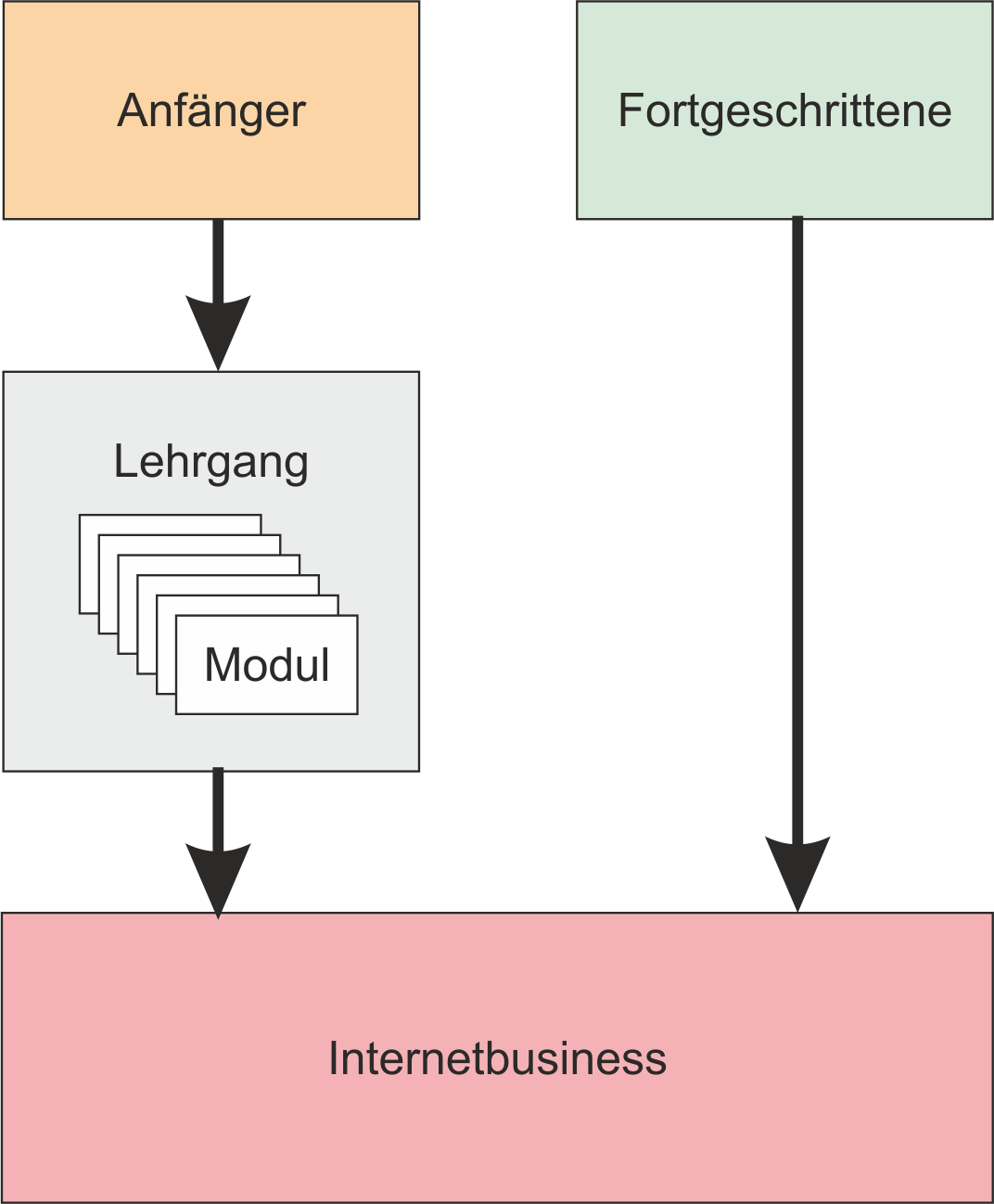 Kursstruktur-Diagramm mit Anfänger und Fortgeschrittene-Kursen zum Internetbusiness