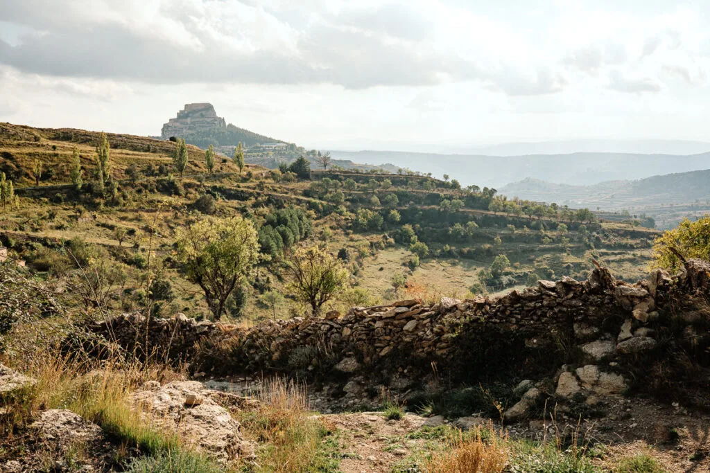 Mediterrane Landschaft mit Stein-Trockenmauer, Olivenbäumen und Berg im Hintergrund