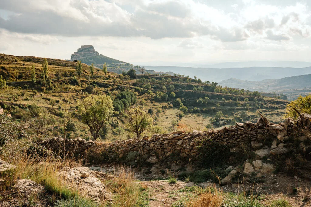 Mediterrane Landschaft mit Stein-Trockenmauer, Olivenbäumen und Berg im Hintergrund