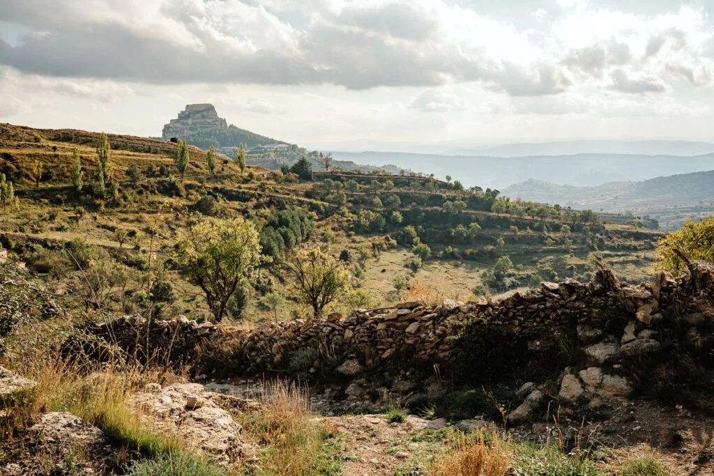Mediterrane Landschaft mit Stein-Trockenmauer, Olivenbäumen und Berg im Hintergrund