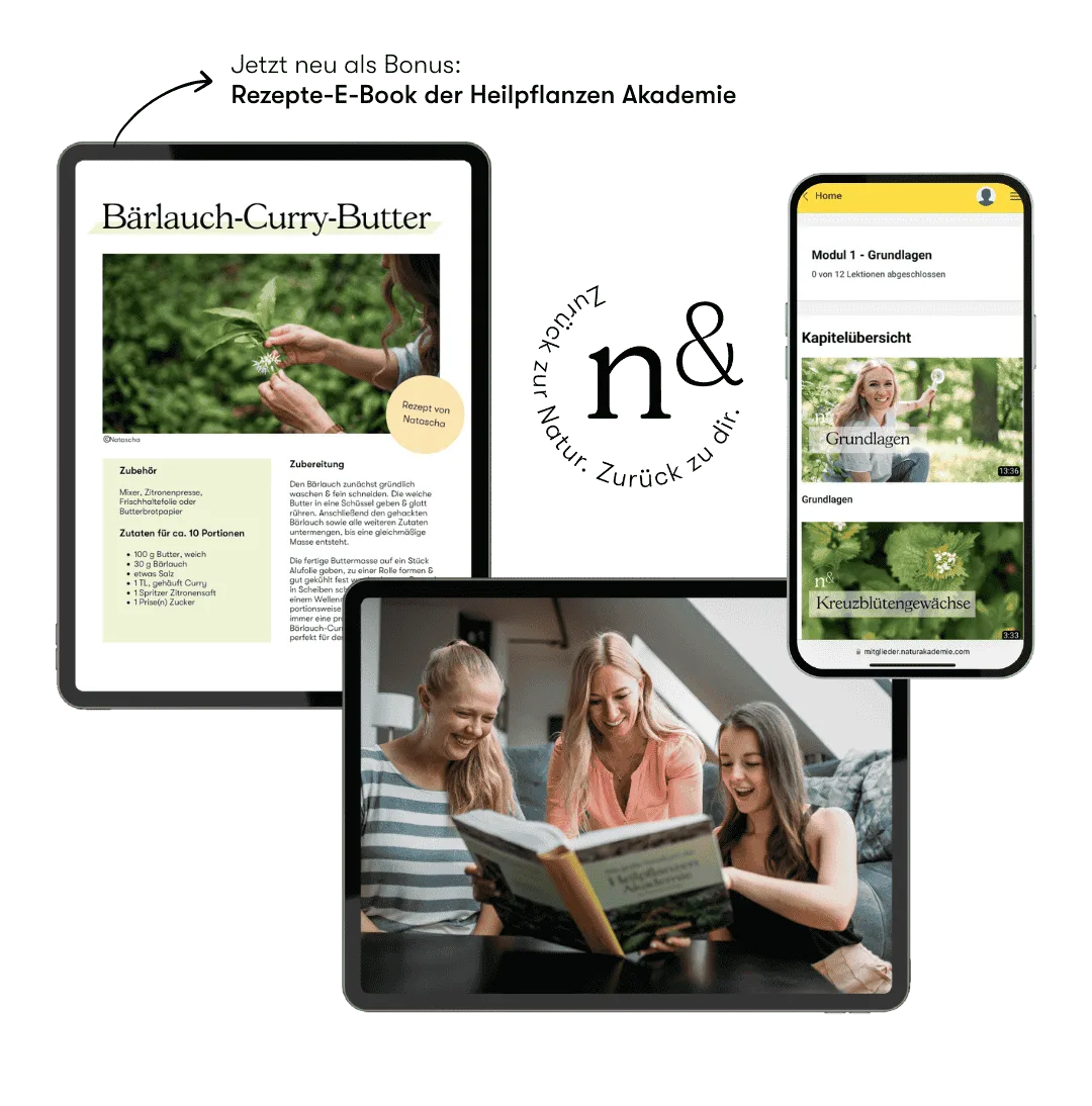 Online Heilpflanzen Akademie – Videokurs zur Wildkräuterkunde 1 Heilpflanzenakademie Bonus Rezepte-E-Book und Online-Kurs Module auf Tablet und Smartphone