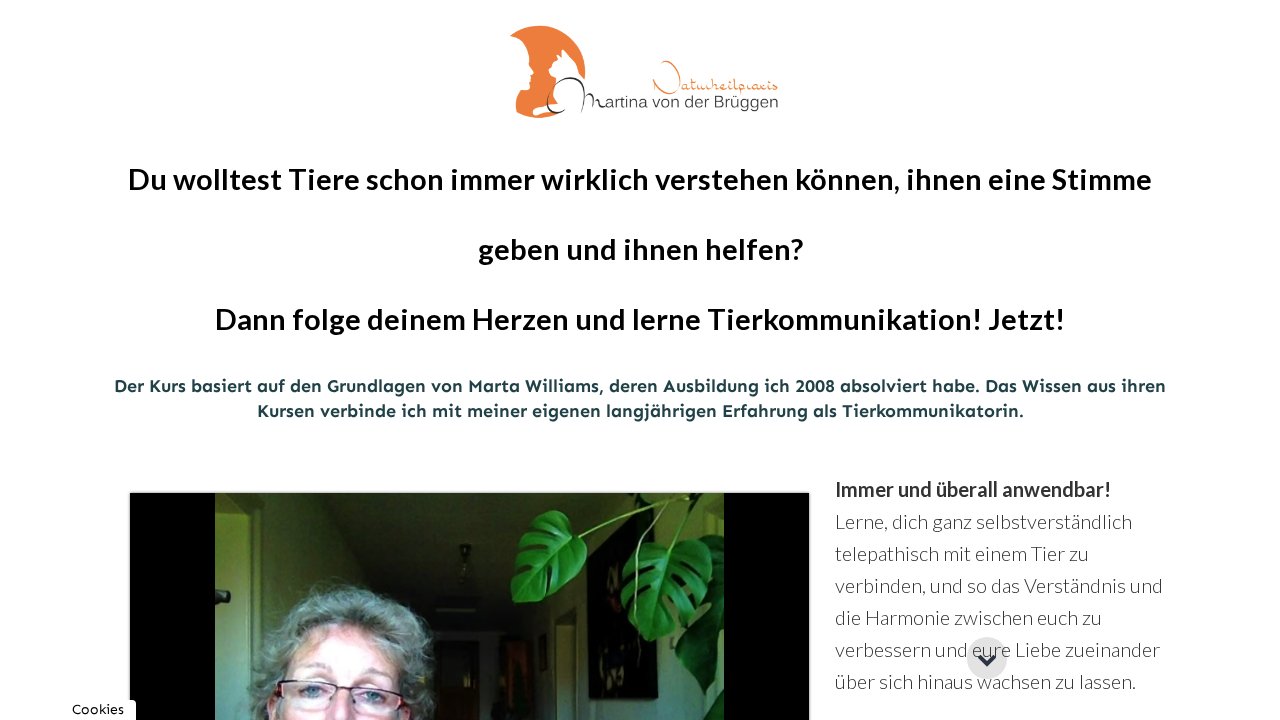 Online Workshop Tierkommunikation – Ansicht der Verkaufsseite