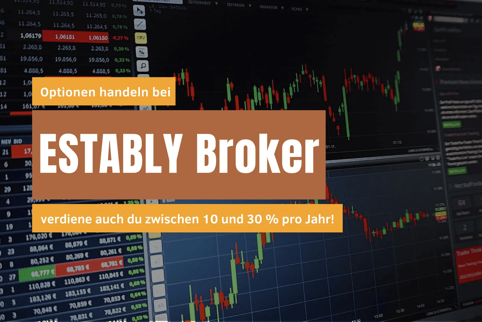 Optionen verstehen & profitabel handeln – E-Book zum Optionshandel 5 Screenshot Optionen handeln bei ESTABLY Broker mit Handelsplattform und Kurscharts