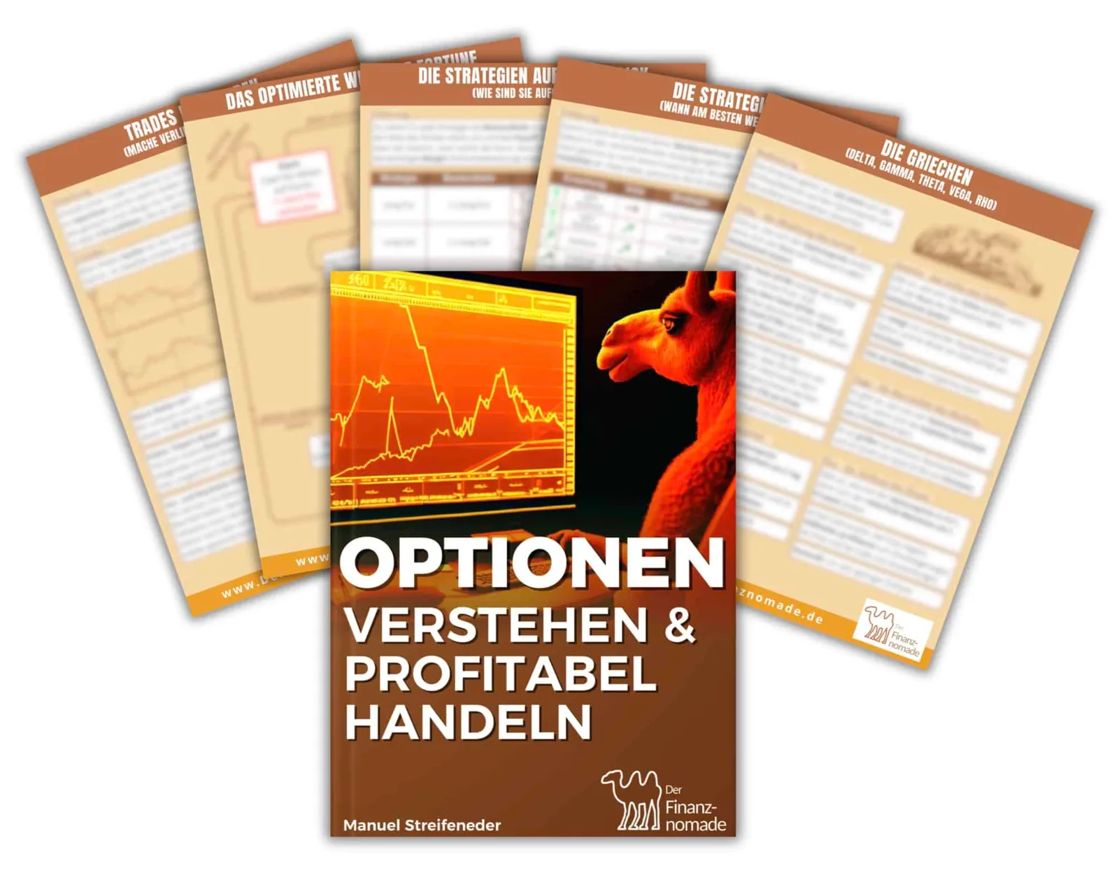 Optionen verstehen & profitabel handeln – E-Book zum Optionshandel 2 Hero-Bild Optionen handeln mit aufgefächertem eBook und Chartdarstellung mit rotem Dragon
