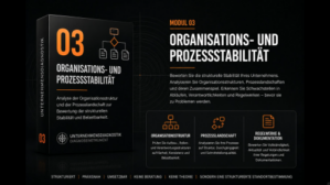 Modul 3 Organisations- und Prozessstabilität Thumbnail mit 3D-Box und verkleinerten Inhaltsboxen für Web-Vorschau