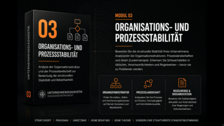 Organisations- und Prozessstabilität – E-Book zur Prozessanalyse