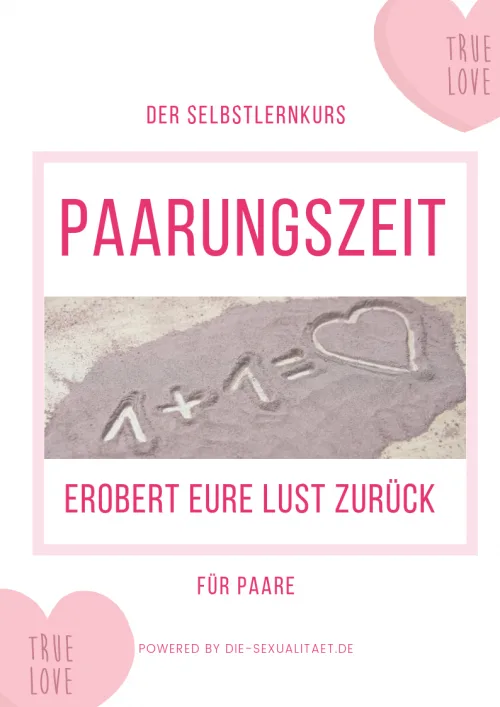Poster des Selbstlernkurses Paarungszeit mit Herzrahmen, Sand-Schriftzug und rosa Designelementen