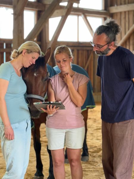 Drei Personen mit Tablet besprechen Pferdegestütztes Coaching in Reithalle