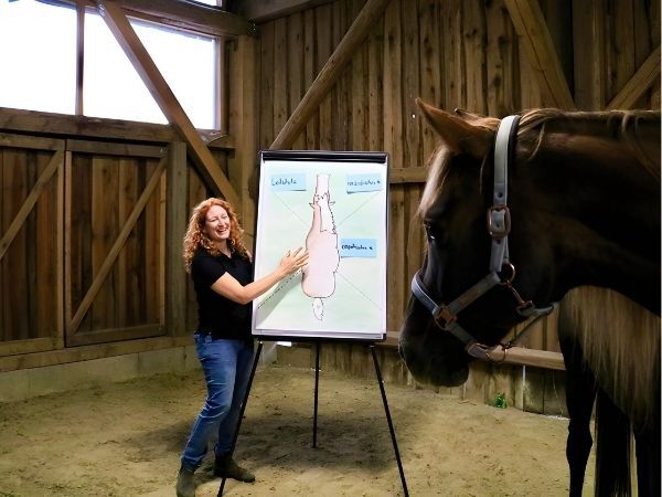 Frau zeigt Flipchart mit Pferdezeichnung neben schwarzem Pferd in Reithalle