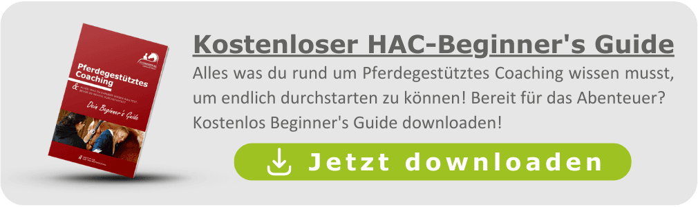 Kostenloser HAC Beginner's Guide mit rotem Buchcover und grünem Download-Button