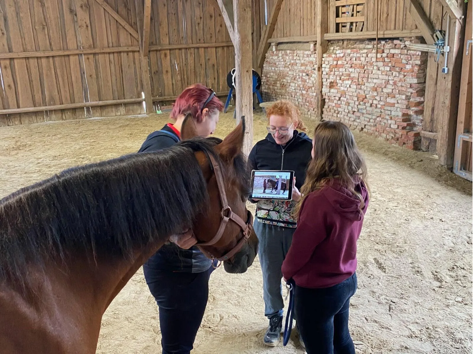 Pferdegestütztes Coaching Sitzung in Scheune, Teilnehmerin mit Pferd und Trainerinnen mit Tablet