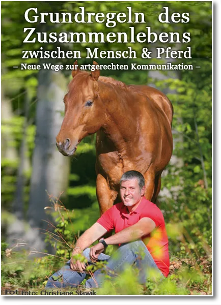 Buchcover mit braunem Pferd und Martin Kreuzer: Grundregeln des Zusammenlebens zwischen Mensch & Pferd