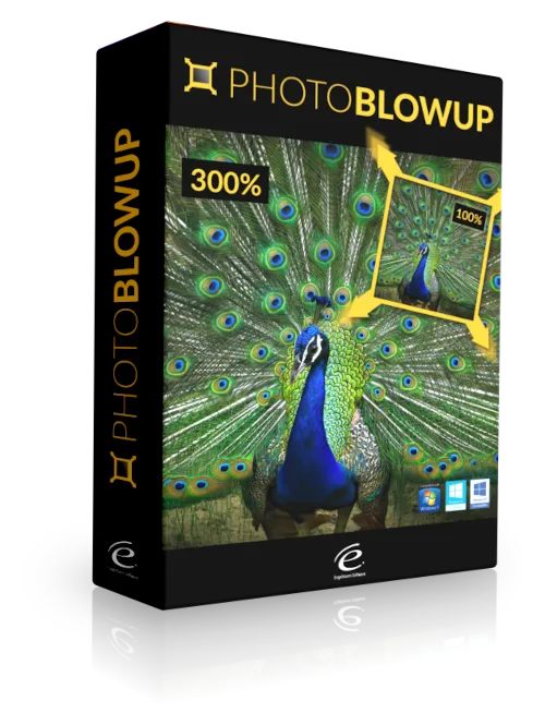 Photo BlowUp Software Box 3D-Ansicht mit Peacock und Vergrößerungsvergleich 300% zu 100%