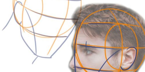 Schädel-Konstruktionszeichnung mit geometrischen Richtlinien für Kopfproportionen