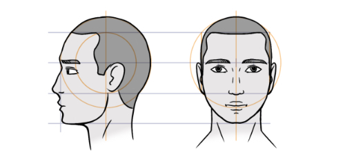Anatomische Diagramme zur Portrait Kopfform mit Proportionsgittern und Gesichtsliniatur