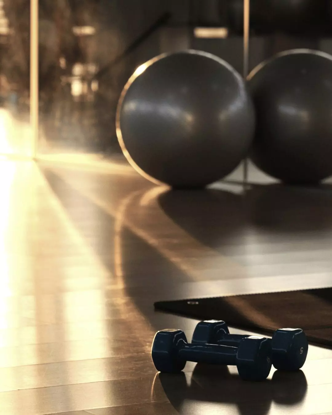 Fitness-Studio mit Hanteln und Stability Balls, Trainingsausstattung