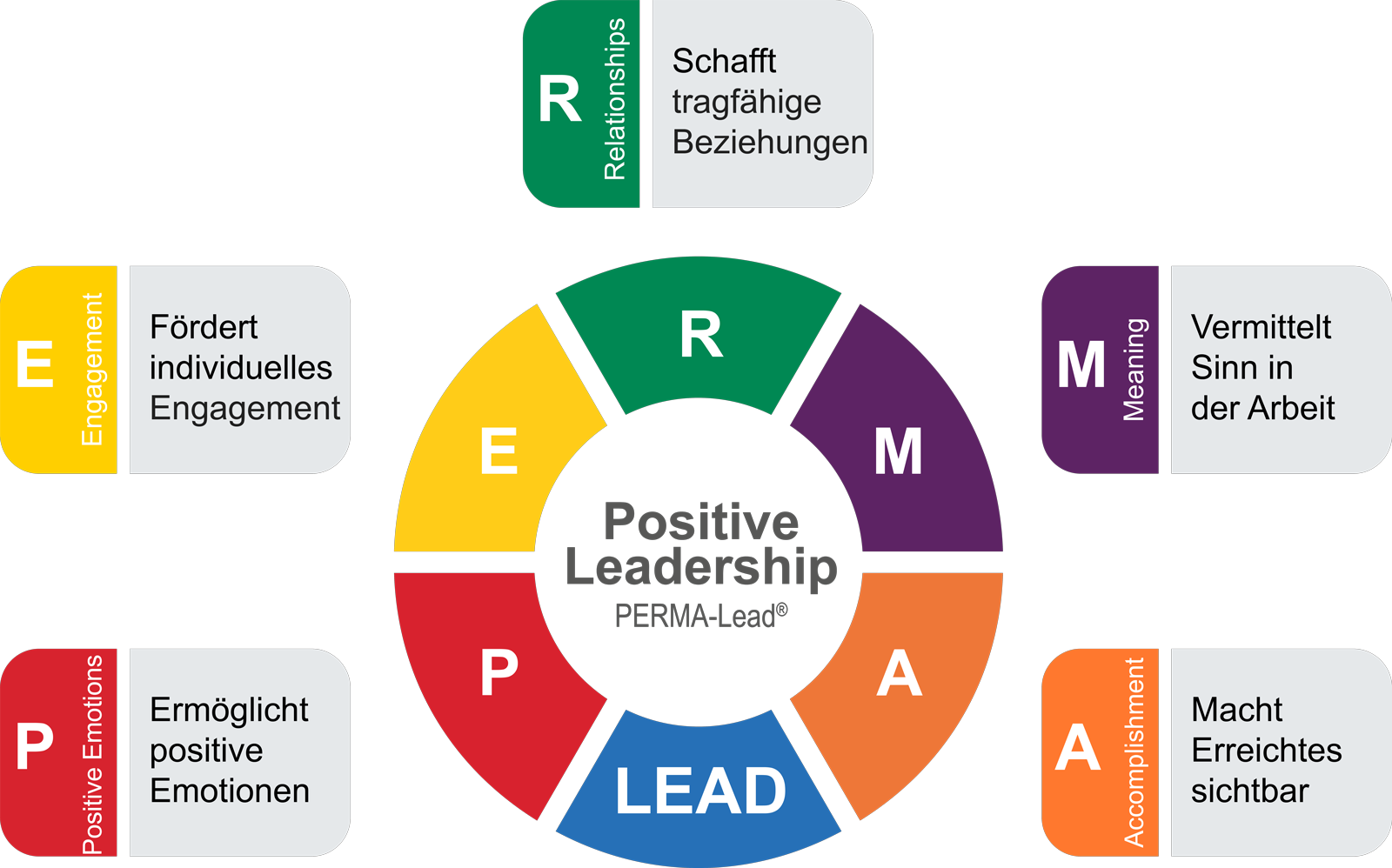 PERMA-Lead Modell-Grafik mit sechs farbigen Faktoren für Positive Leadership