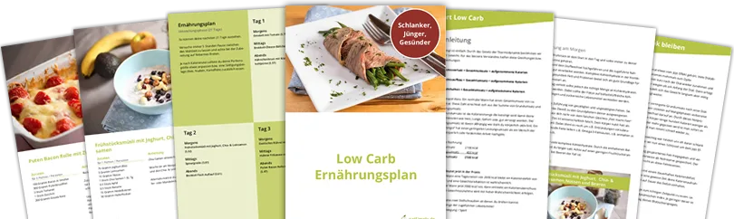 nuplano Ernährungsplan PDF-Vorschau mit mehreren Seiten zu Low Carb Ernährung und Rezepten