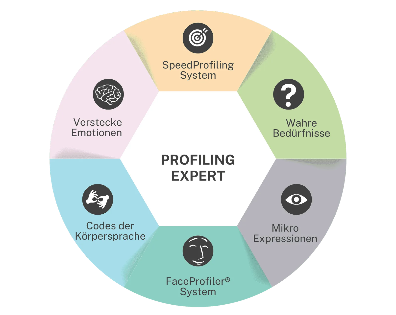 Profiling Expert System Hexagon-Diagramm mit sechs Modulen: SpeedProfiling System, Wahre Bedürfnisse, Mikro Expressionen, Fac
