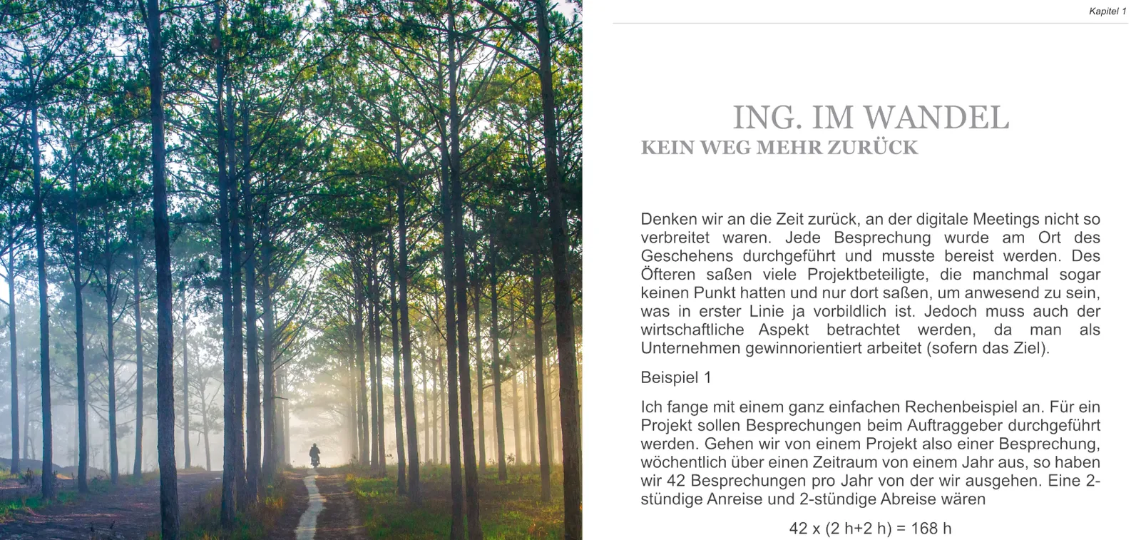 Kapitel 1 mit Waldweg-Foto: Ing. im Wandel – Kein Weg mehr zurück