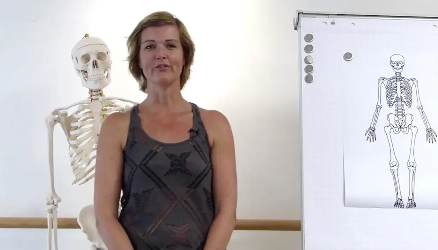 Kursmodul zum Psoas-Muskel mit Skelett und anatomischem Poster