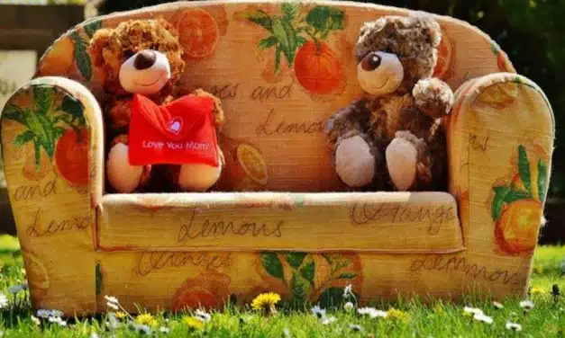 Zwei Teddybären auf dekorativer Kindercouch mit Apfelmuster und roter Schleife