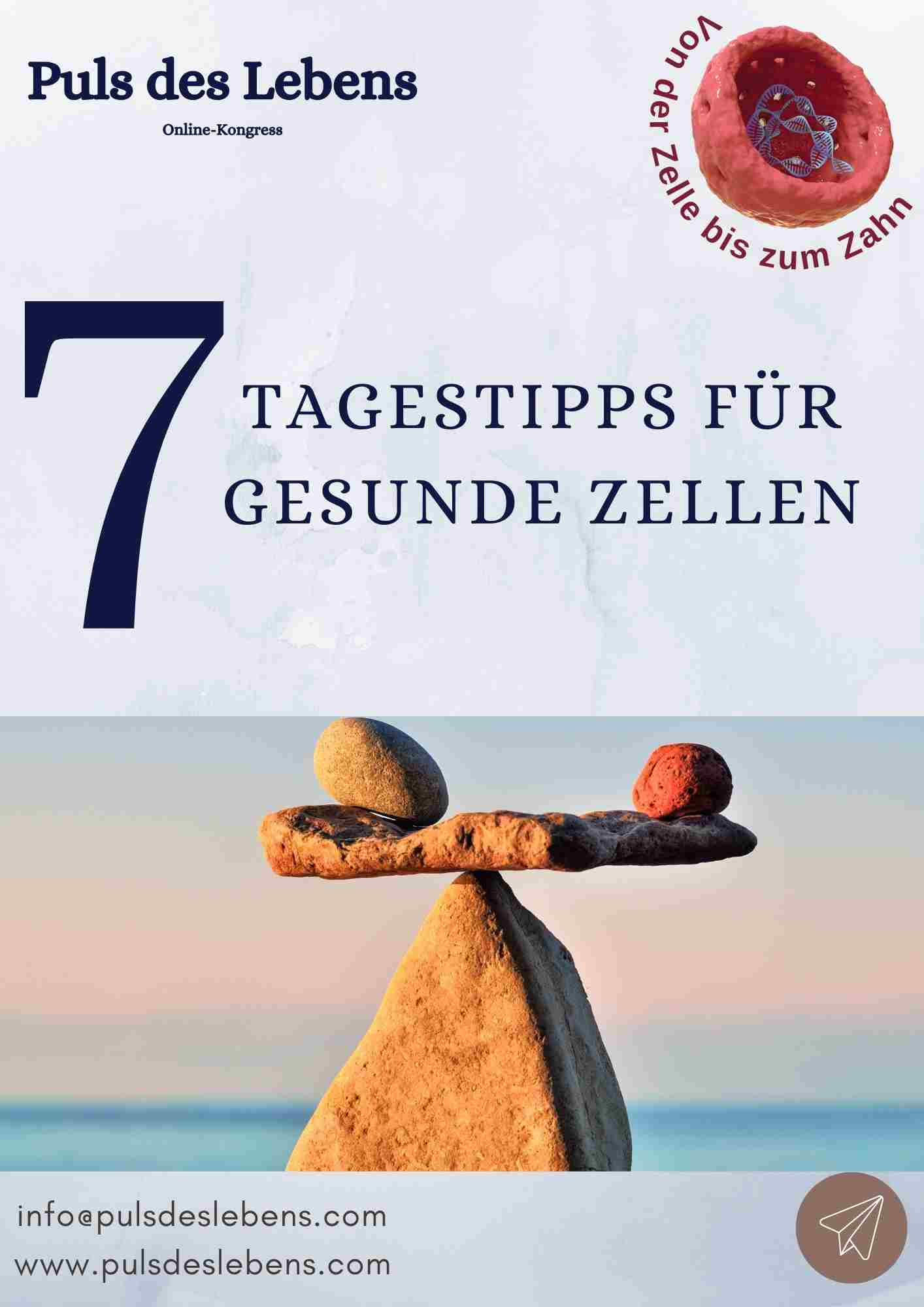 E-Book Cover Puls des Lebens mit Blutzellenillustration und balancierten Steinen am Meer