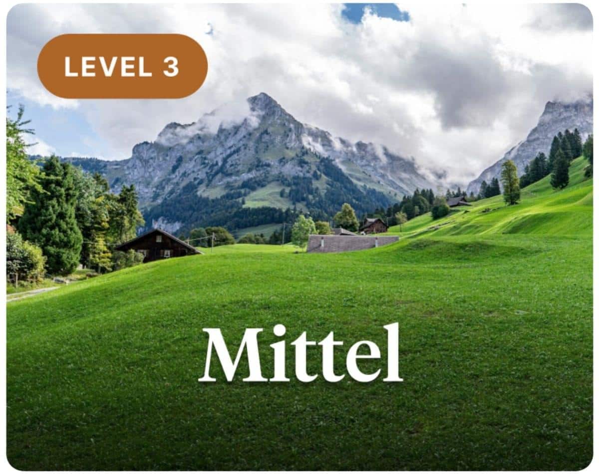 Level 3 Mittel Kursmodul mit Alpenberg und Bauernhof