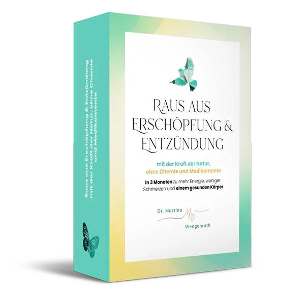 Produktverpackung Raus aus Erschöpfung und Entzündung mit Farbverlauf Türkis-Gelb