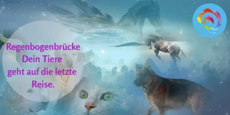 Regenbogenbrücke – Sterbebegleitung bei deinem Tier von Andrea Schädel