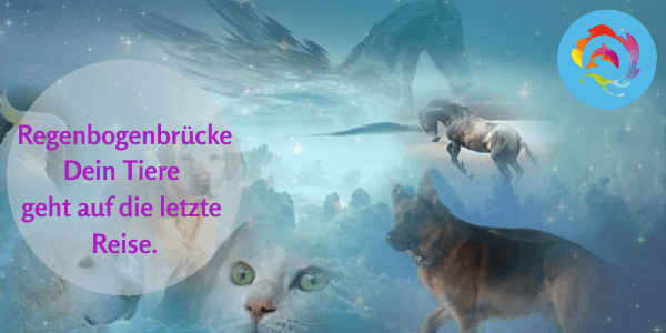 Regenbogenbrücke Hero-Banner mit Text – Sterbebegleitung Andrea Schädel