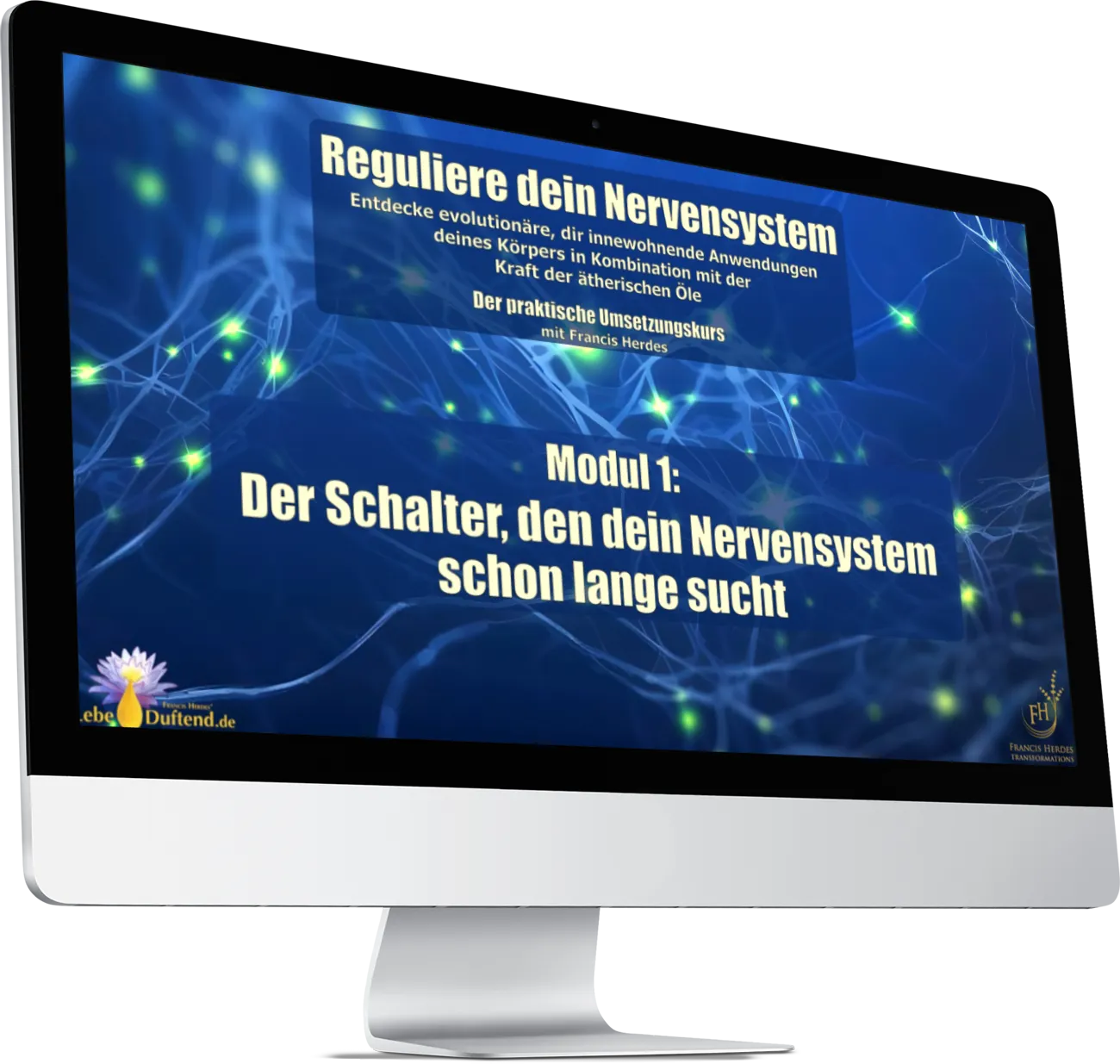 Reguliere dein Nervensystem mit ätherischen Ölen - Modul 1
