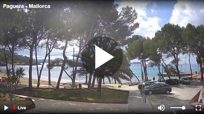 Webcam-Livestream von Paguera Mallorca mit Strandpromenade, Pinien und Booten