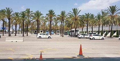 Parkplatz am Flughafen Palma de Mallorca mit Polizeiauto und Palmen