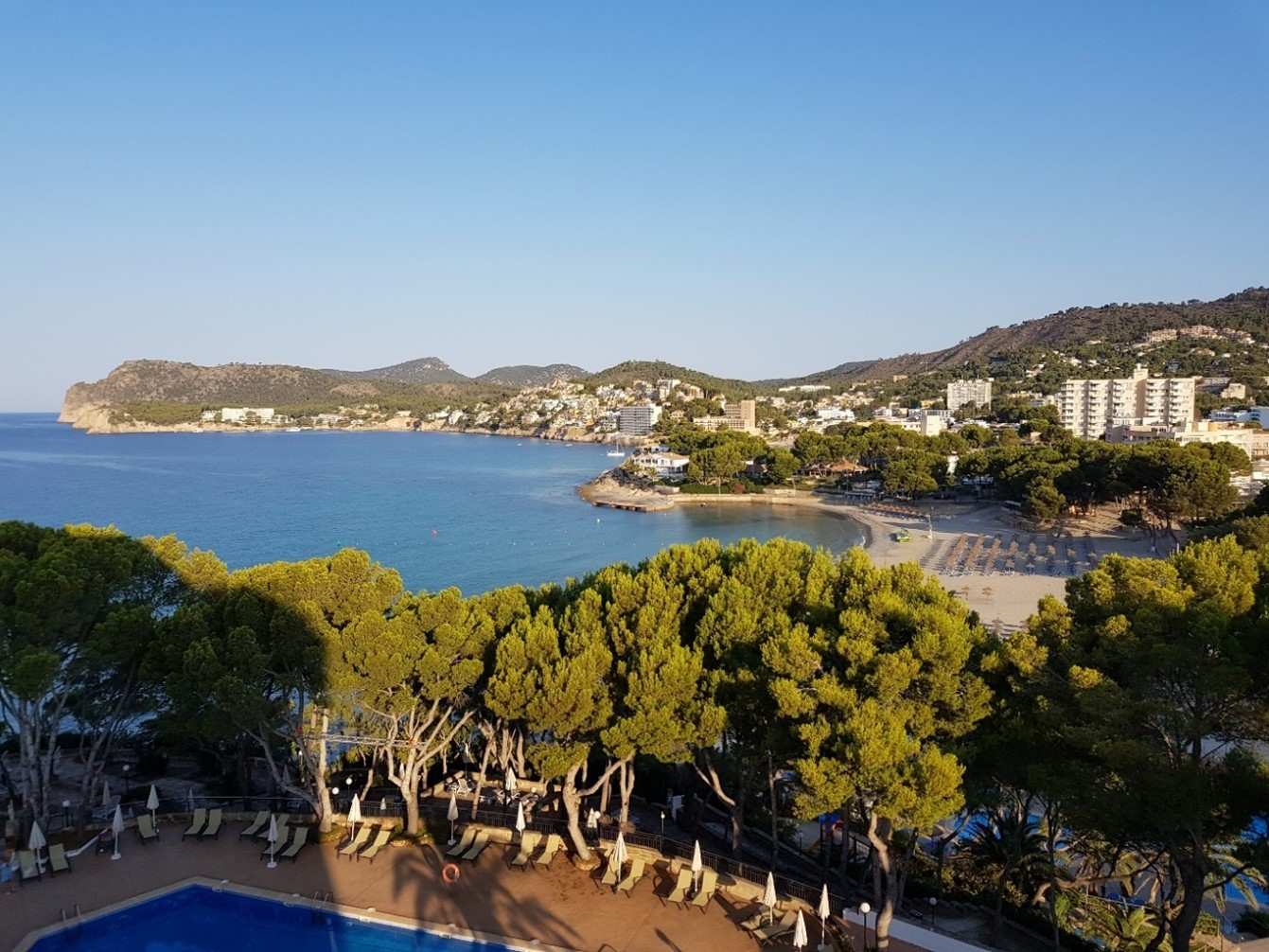 Luftblick auf Tora-Strand in Paguera mit Liegen, Sonnenschirmen, Pinienwald und türkisblauem Meer