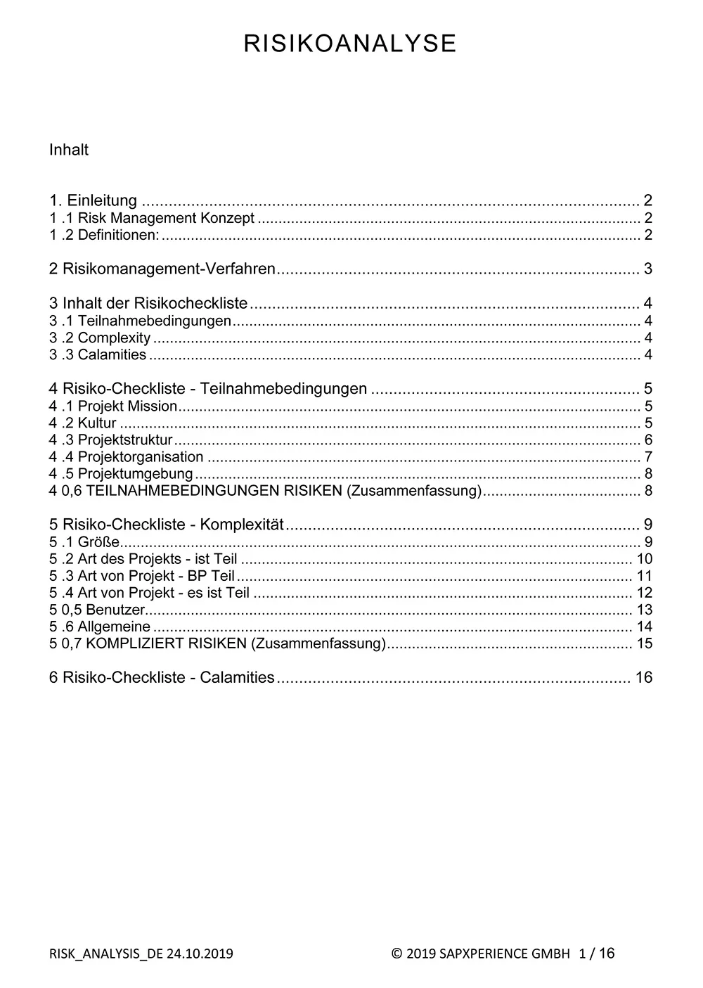 Inhaltsverzeichnis der Risikoanalyse-Dokumentation mit Kapiteln zu Risk Management Konzept, Risikomanagement-Verfahren, Risik