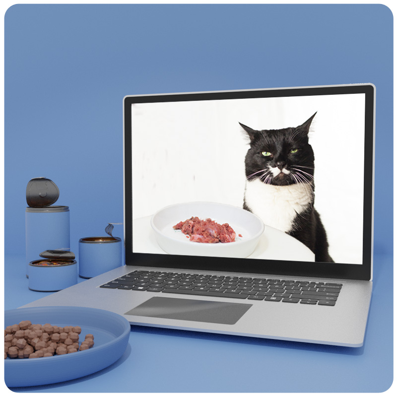 Mockup: Laptop mit schwarzweißer Katze und Rohfutter auf dem Screen, daneben Behälter auf blauem Hintergrund