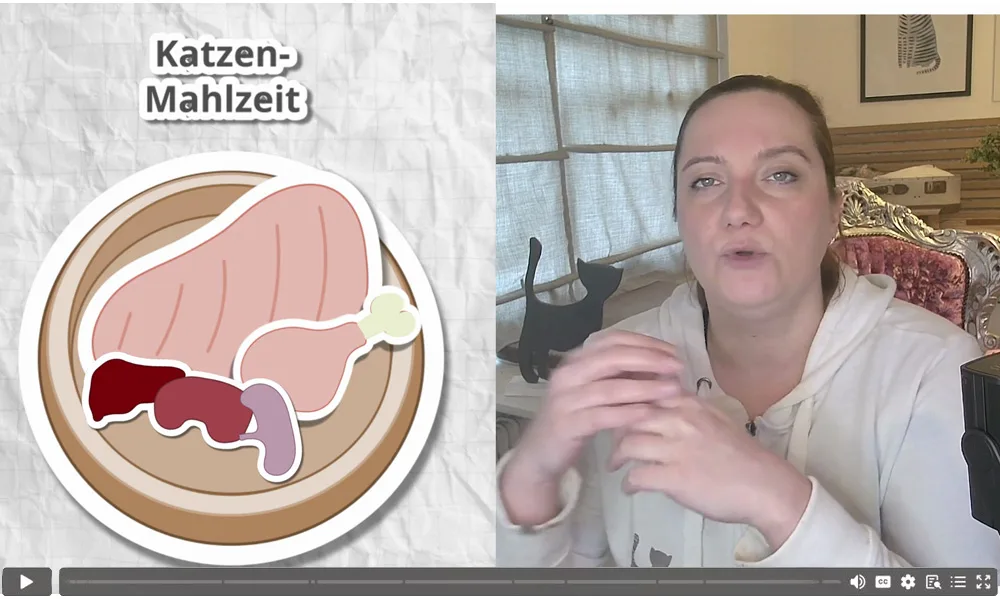 Videostandbild: Frau vor Laptop, Text-Overlay zeigt Katzen-Mahlzeit mit Illustration der Magenteile