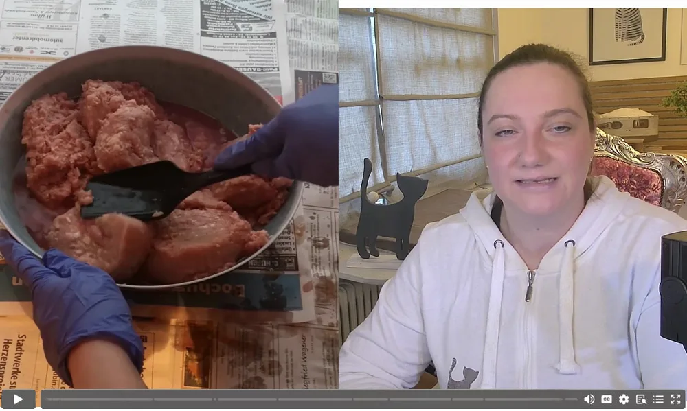 Videostandbild: Frau zeigt Schüssel mit rohem Fleisch beim Mischen, neben ihr sitzt schwarze Katze