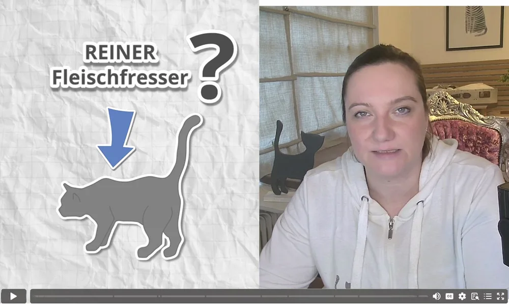 Videostandbild: Frau erklärt was pure carnivores besonders macht, daneben Illustration einer Katze mit Fragezeichen und Text