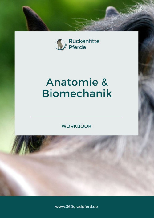 eBook-Mockup Anatomie und Biomechanik mit Pferderücken-Hintergrund