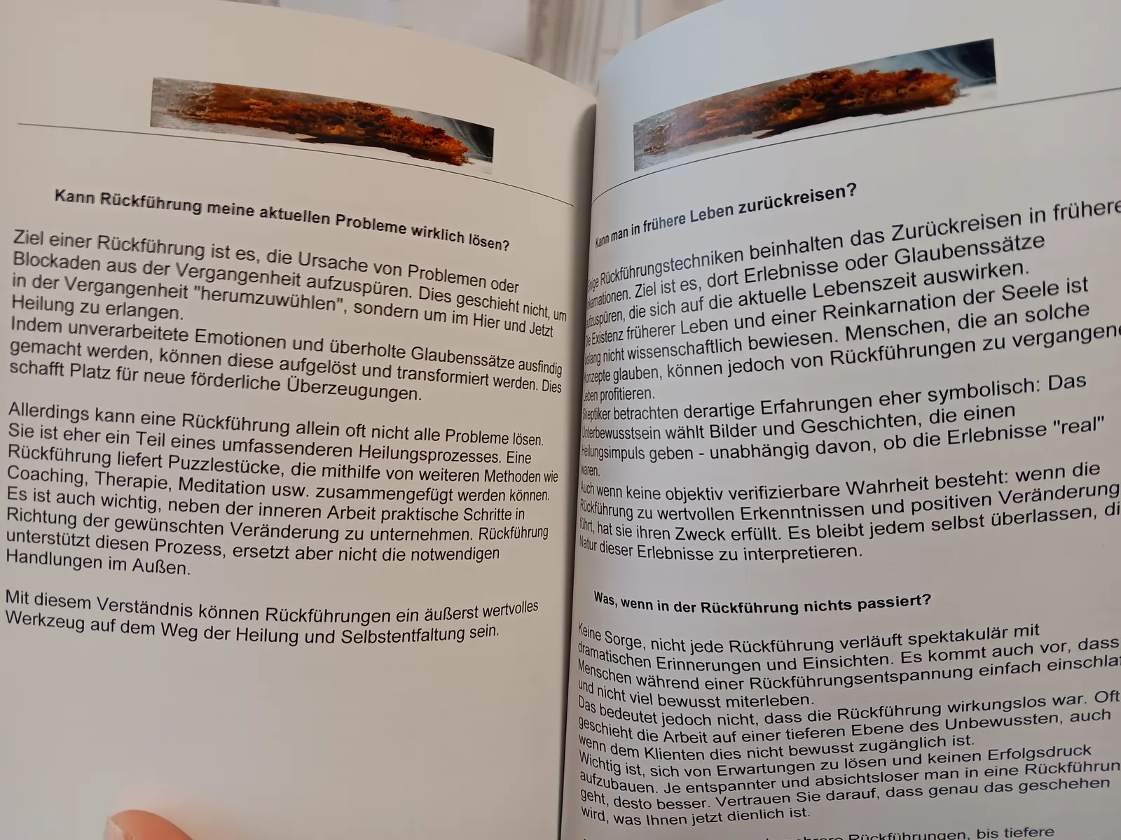 Aufgeschlagene Buchseiten Rückführung - Der Weg zur Selbstheilung Details