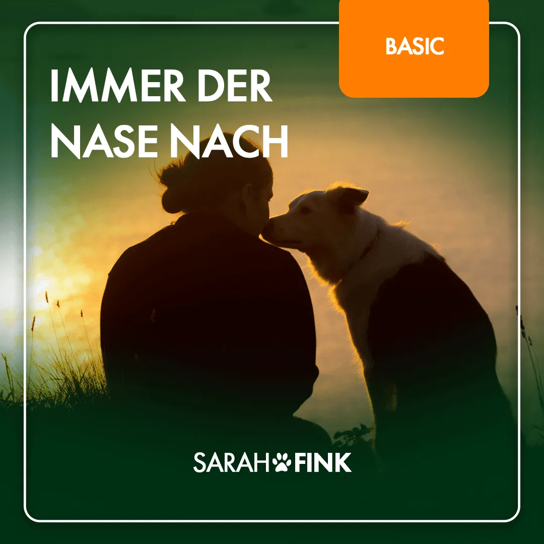 Frau mit Hund im Sonnenuntergang von hinten, Kursmodul Basic Immer der Nase nach