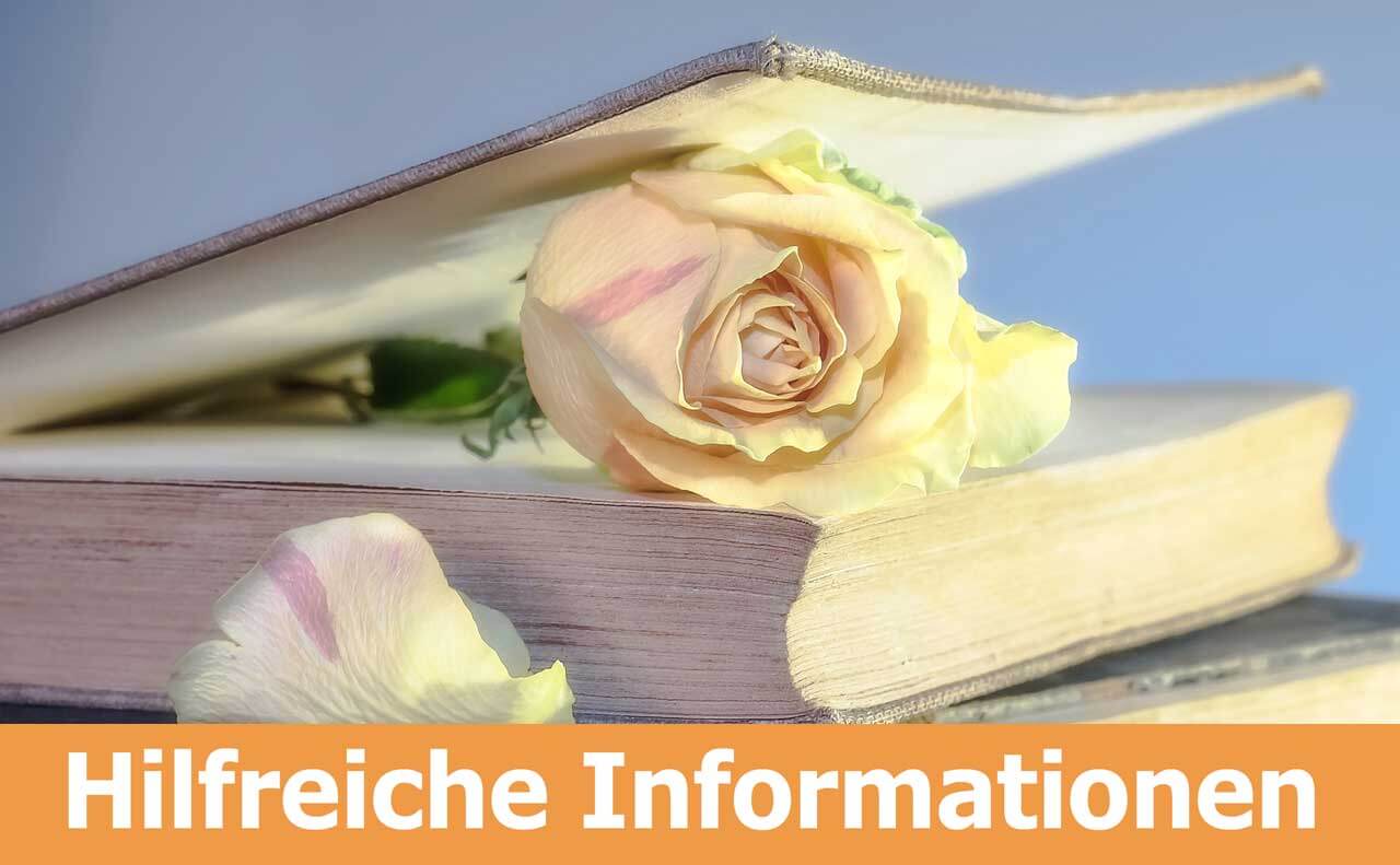 Rosen und aufgeschlagenes Buch mit blauem Muster vor blauem Himmel