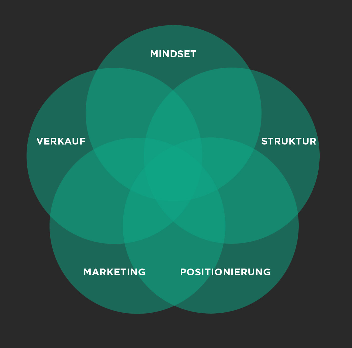 Venn-Diagramm mit 5 grünen Kreisen: Mindset, Struktur, Positionierung, Marketing, Verkauf