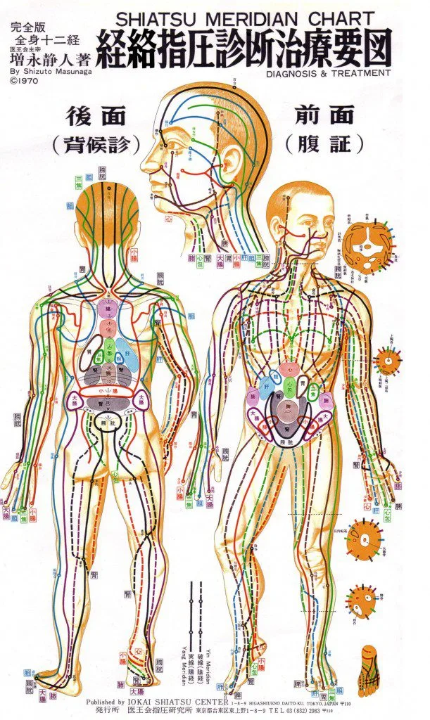Shiatsu Meridiankarte menschlicher Körper mit Energieleitbahnen von Masunaga