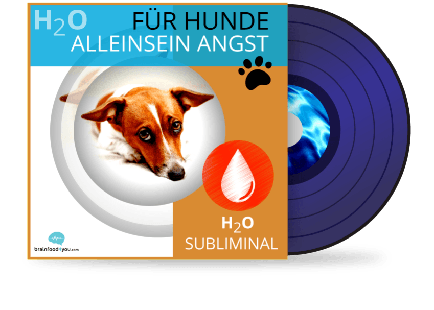Produktmockup Premium Silent Subliminals H2O Hunde Alleinsein Angst