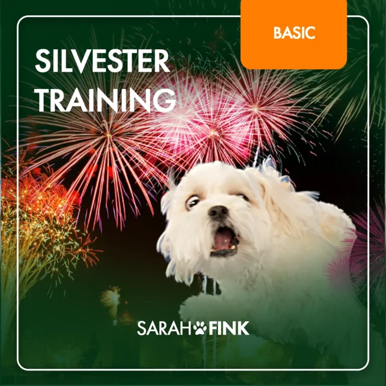Silvester Training – Hundekurs zu Geräuschangst von Sarah Fink